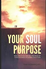 Your Soul Purpose