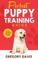 Perfect Puppy Training Guide