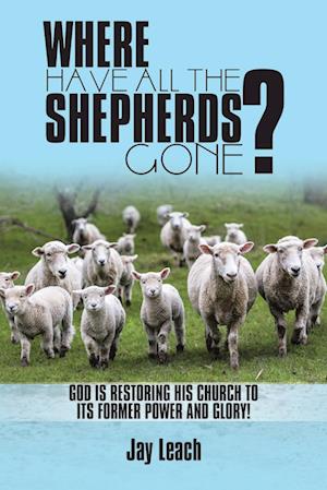 Where Have All the Shepherds Gone?