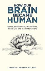 How Our Brain Became Human