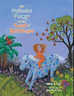 The Polkadot Pony and the Land of Notforgot 