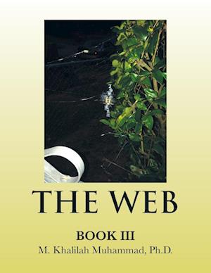 The Web