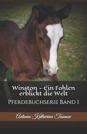 Winston - Ein Fohlen erblickt die Welt