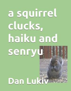 A squirrel clucks, haiku and senryu