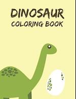 Dinosaur Coloring Book