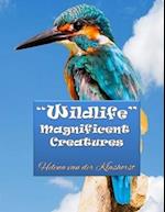 Wildlife Magnificent Creatures