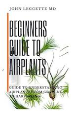 Beginners Guide to Air Plants