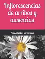 Inflorescencias de arribos y ausencias