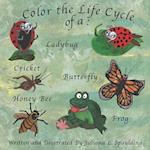 Color the Life Cycle of a Ladybug, Cricket, Butterfly, Honey Bee, and a Frog