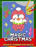 Magic Christmas Color by Numbers for Adults
