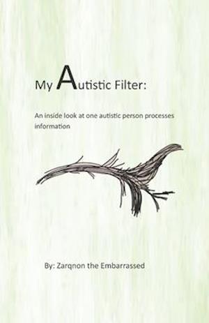 My Autistic Filter: An inside look at how one autistic person processes information