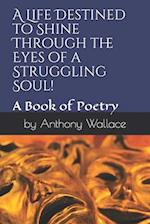 A Life Destined to Shine Through the Eyes of a Struggling Soul!: A Book of Poetry in Motion 