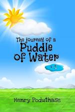 The journey of a puddle of water