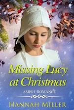 Missing Lucy at Christmas