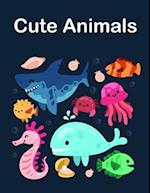 Cute Animals