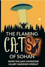 The Flaming Cats of Sohan