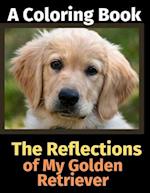 The Reflections of My Golden Retriever: A Coloring Book 