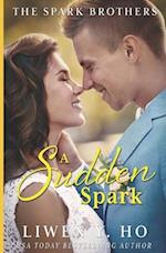 A Sudden Spark: A Christian Contemporary Romance 