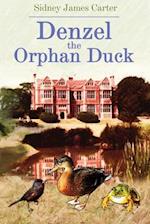 Denzel The Orphan Duck