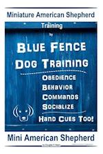 Miniature American Shepherd Training By Blue Fence - Dog Training Obedience - Behavior, Commands - Socialize, Hand Cues Too! Mini American Shepherd