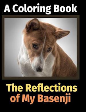 The Reflections of My Basenji