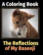 The Reflections of My Basenji