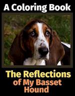 The Reflections of My Basset Hound