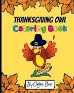 Thanksgiving Owl Coloring Book: Fall Harvest Coloring Book Thanksgiving Holiday Designs, Pumpkins, Turkey And More, Holiday Coloring and Activity Book
