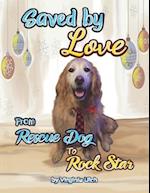 Saved By Love: From Rescue Dog to Rock Star 