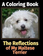 The Reflections of My Maltese Terrier: A Coloring Book 