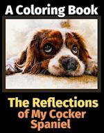 The Reflections of My Cocker Spaniel