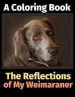 The Reflections of My Weimaraner: A Coloring Book 