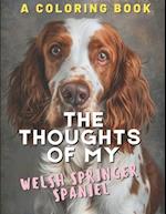 The Reflections of My Welsh Springer Spaniel: A Coloring Book 