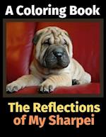 The Reflections of My Sharpei