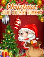 Christmas Adult Color By Numbers