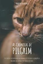 As Crónicas de Pilgrim
