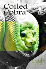 Coiled Cobra
