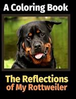 The Reflections of My Rottweiler