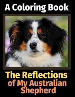 The Reflections of My Australian Shepherd