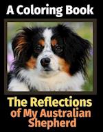 The Reflections of My Australian Shepherd