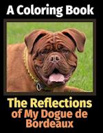 The Reflections of My Dogue de Bordeaux: A Coloring Book 