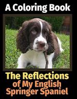 The Reflections of My English Springer Spaniel: A Coloring Book 