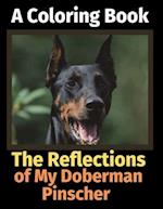 The Reflections of My Doberman Pinscher