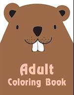 Adult Coloring Book