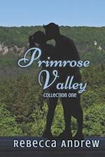 Primrose Valley Collection: Three Contemporary Romance Stories 