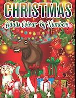 Christmas Adults Colour By Numbers