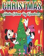 Christmas Adults Colour By Numbers