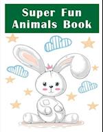 Super Fun Animals Book