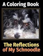 The Reflections of My Schnoodle: A Coloring Book 