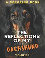 The Reflections of My Dachshund: A Coloring Book 